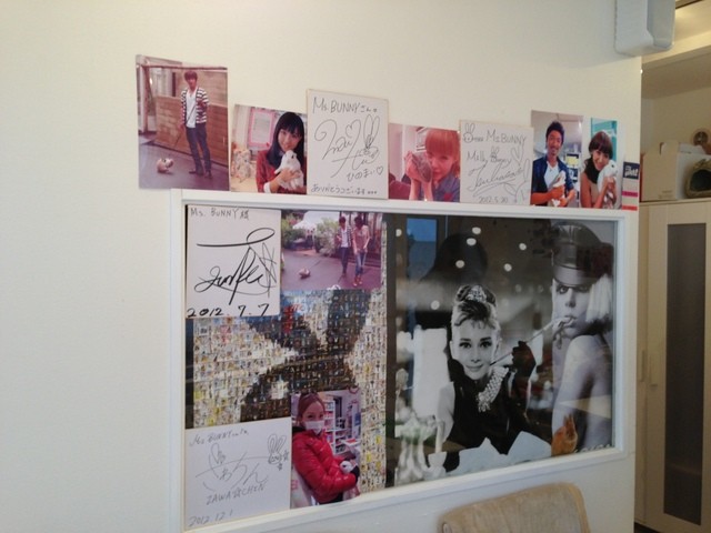 recommendations image for ミス・バニー