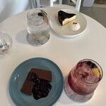 recommendations for papillon