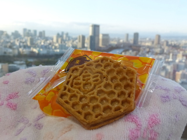ヨックモック JR東京駅東京銘品館南口店的實拍高清圖