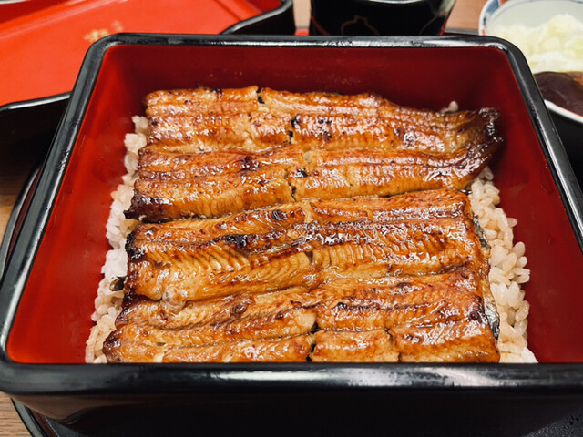 渋谷 松川 本店的實拍高清圖