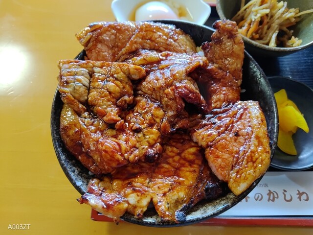 豚丼のかしわ的实拍高清图