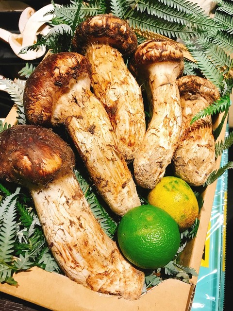 京野菜かね松老舗的實拍高清圖