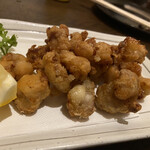 recommendations for はまどり