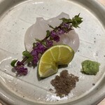 博多 鮨 まつもと的實拍圖