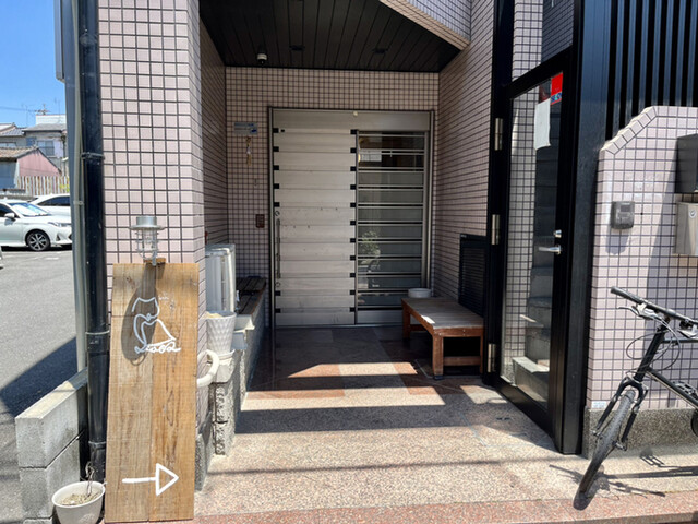 小梟的实拍高清图