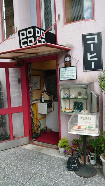 ポコ的实拍高清图