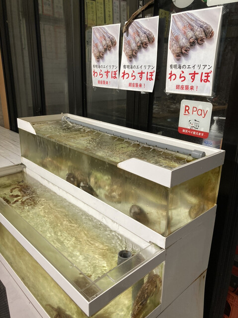 羽田市場 銀座直売店的實拍高清圖