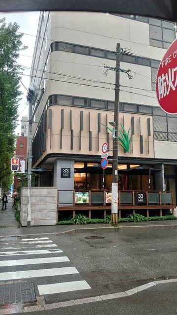 33カフェ グリーン的實拍高清圖