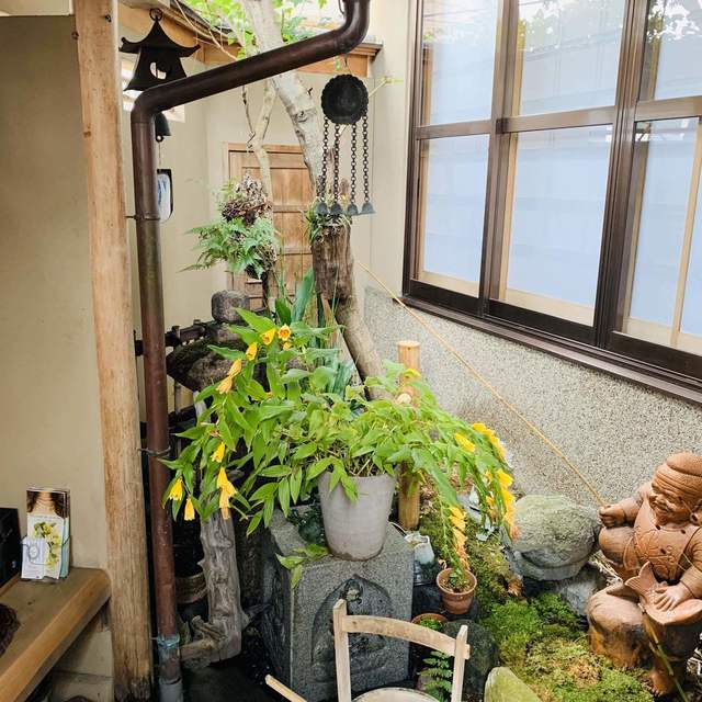 喜一的實拍高清圖