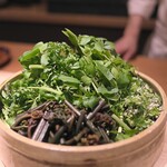 recommendations for 天若
