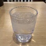 recommendations for SAGUN