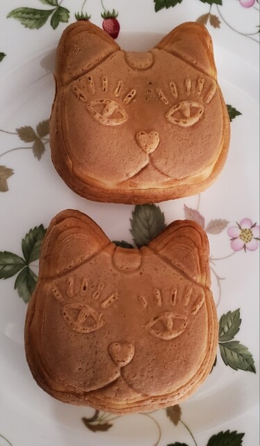 猫間的實拍高清圖