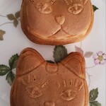 猫間的實拍圖