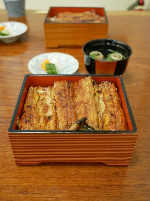 魚政的實拍高清圖