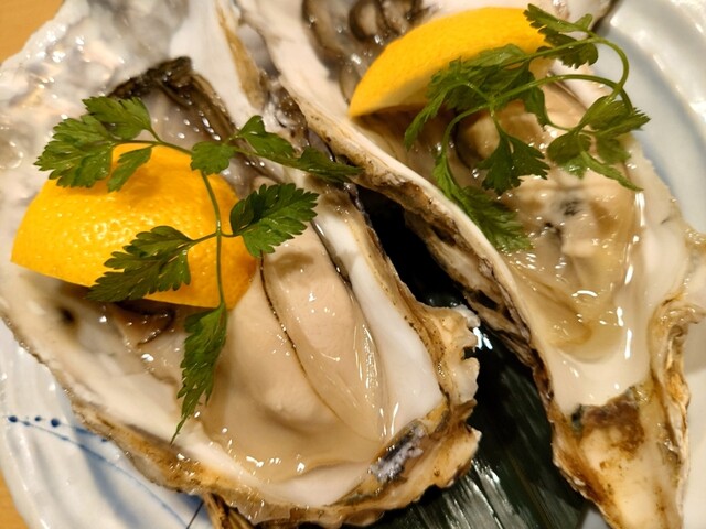 和処さゝ木的实拍高清图