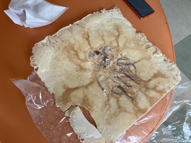 recommendations image for たこの響き