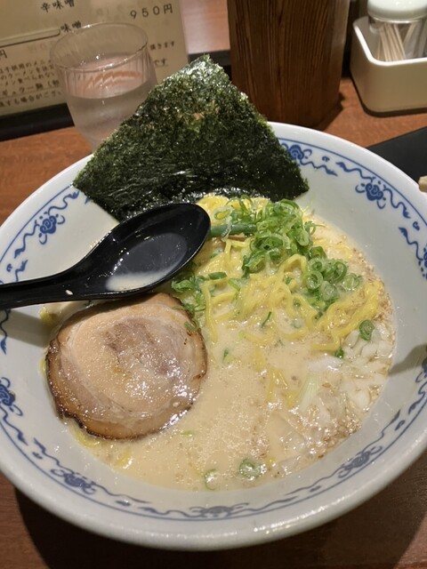 虎的实拍高清图