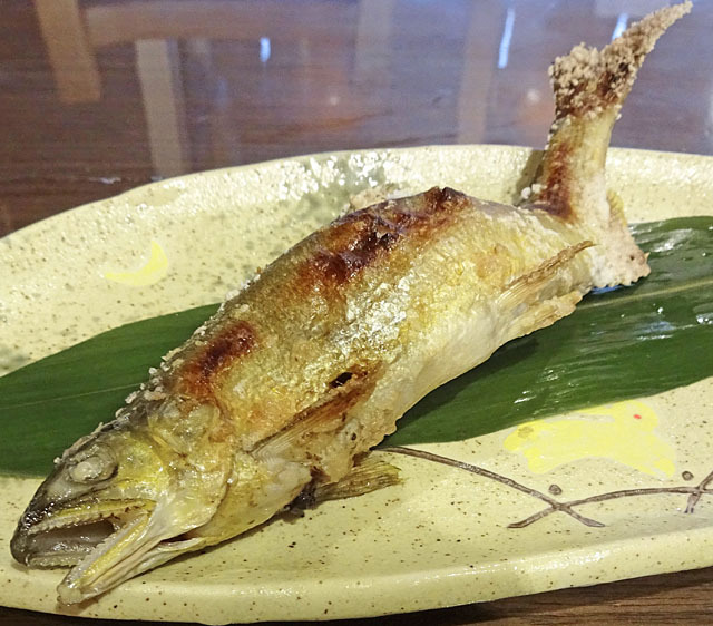 旬菜酒肴 田田的實拍高清圖