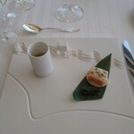 recommendations for テラコヤ