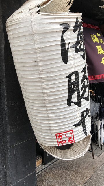 西新 海豚や的实拍高清图