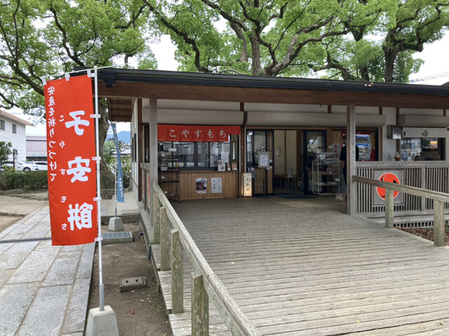こやすもち的實拍高清圖