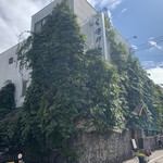 recommendations for くまげら