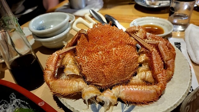 北海道さかな一途 直営魚問屋的實拍高清圖
