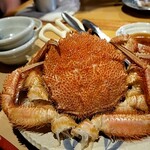 北海道さかな一途 直営魚問屋的實拍圖
