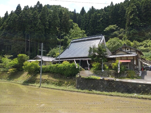 いし田的实拍高清图