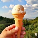 城山オレンヂ園的實拍圖