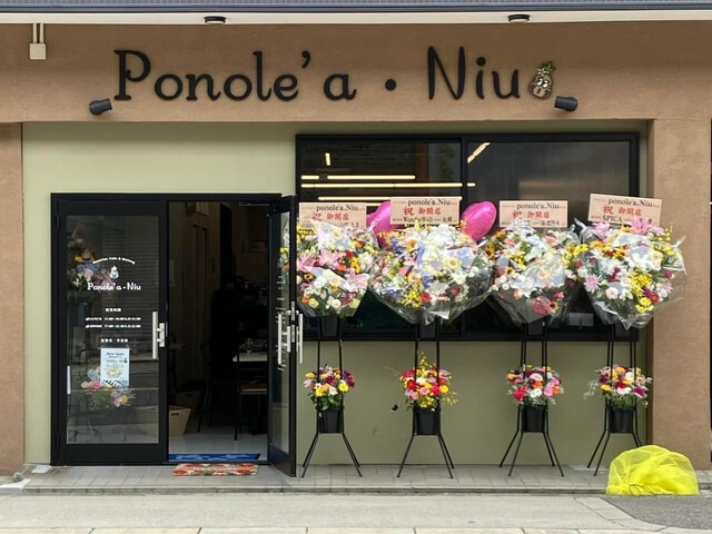 Ponole'a.Niu的實拍高清圖