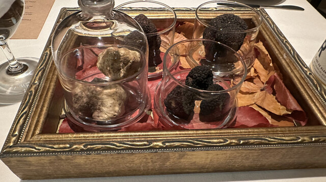Terres de Truffes, Tokyo的实拍高清图