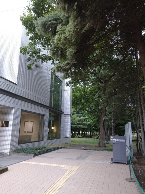 きねずみ的實拍高清圖