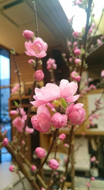 recommendations image for 鮨島うた