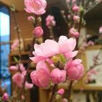 recommendations for 鮨島うた