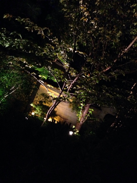 閑臥庵的實拍高清圖