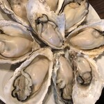 赤坂元気(仮)的实拍图
