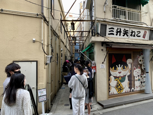 寿清庵的实拍高清图