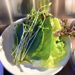 recommendations for ケンちゃん食堂