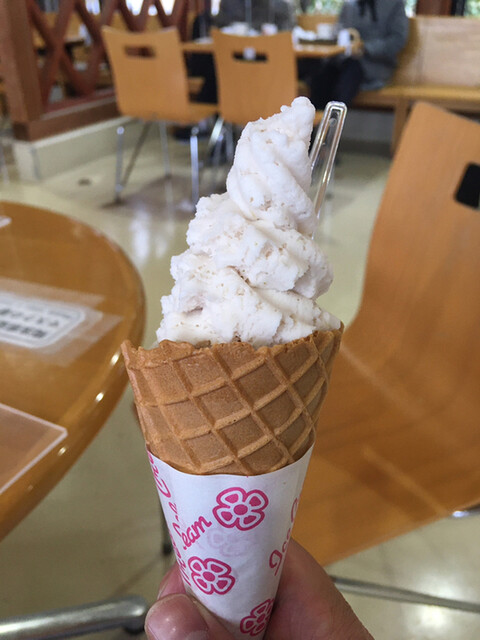 森のカフェ的實拍高清圖
