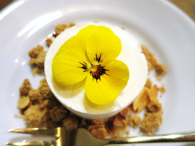 コチト ハナトオカシト的實拍高清圖