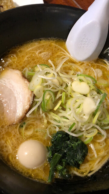 西新 海豚や的实拍高清图