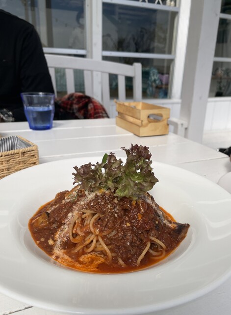 recommendations image for BeachHouseStyleCafe sunflower