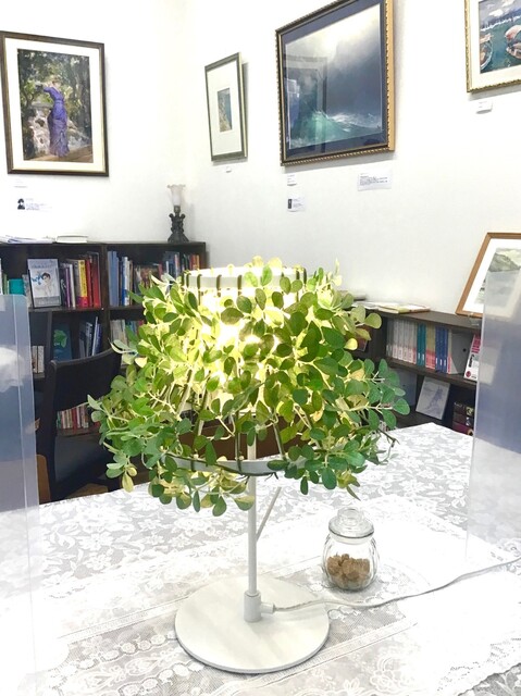 レスプレ しよーね的實拍高清圖