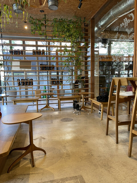 スターバックスコーヒー 駒沢1丁目店的實拍高清圖