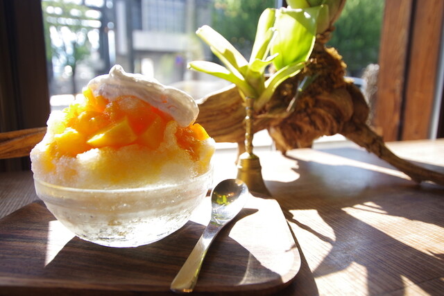ｃａｆｅ ｂａｌｉ ｇａｓｉ 北山的實拍高清圖
