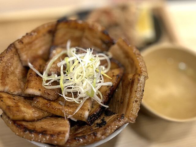 元祖豚丼屋 TONTON 船場センタービル10号館店的实拍高清图