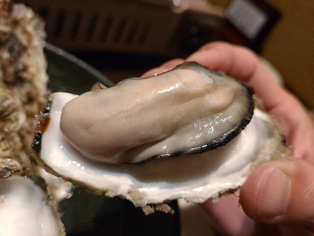 三八的实拍高清图