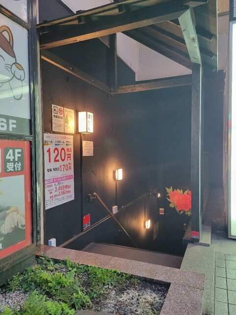 ニューぼたん的实拍高清图