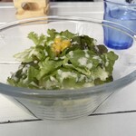 recommendations for BeachHouseStyleCafe sunflower